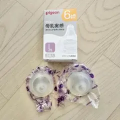 Pigeon 母乳実感 Lサイズ 哺乳瓶用乳首 2個入