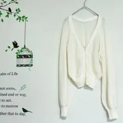 alicia pageboy /メッシュカーディガン Vネック ボリューム袖 F