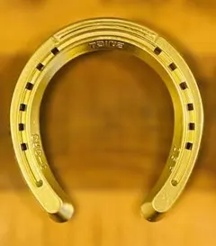 【幸運の金の蹄鉄】