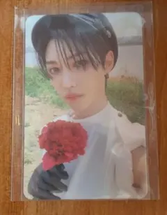 straykidsフィリックストレカ