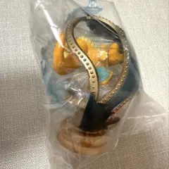 ポケモン　カイリュー オーバルティークコレクション　リーメント
