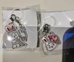 2026年最新】eve アクリルキーホルダーの人気アイテム - メルカリ