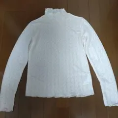 Item thumbnail for item 390deac5-8f30-456d-826e-b7dd2ba2d8d1