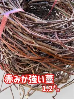 2026年最新】アケビ蔓の人気アイテム - メルカリ