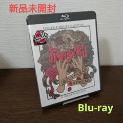 筋肉少女帯「4半世紀 LIVE」 at中野サンプラザ 2013.6.22 DVD - メルカリ