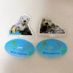 2026年最新】鳥羽水族館 キラ メイの人気アイテム - メルカリ