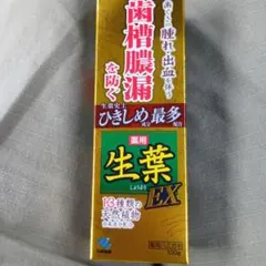 生葉EX 歯磨き粉13種類の天然植物 100g只今セール中