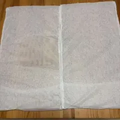 新品！エアウィーヴ　シートコア　2枚　airweave 枕　ピロー　パーツ