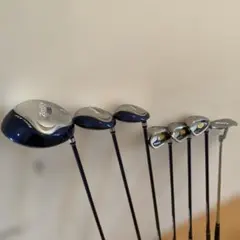 Item thumbnail for item 1c282335-1b5d-4513-9f3a-52c9eaca4deb