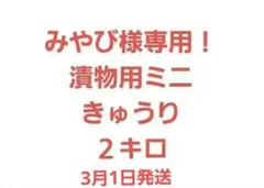 みやび様専用！漬物用ミニきゅうり２キロ　3月1日発送