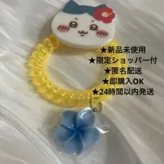 Item thumbnail for item 9f64f296-46bb-43ca-ad99-b4de9d518f47