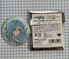 プロジェクトセカイ ホログラム缶バッジコレクションC 日野森雫