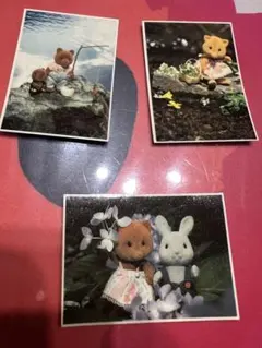 シルバニアファミリー 3枚セット　タヌキ女の子　キツネ女の子　茶色クマお父さん