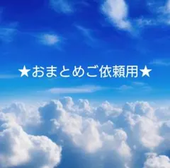 みぃたん♡石くん大好き様 リクエスト 2点 まとめ商品