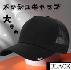 Item thumbnail for item 978ee3f1-5a05-45b0-b7f5-77260ed8f85c