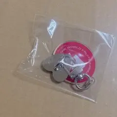 月足天音 G賞 スマホキーリング FRUITSZIPPER 楽天ブックス