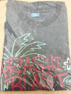 Item thumbnail for item 192d931d-6ea8-4e02-82bf-8e1ce8f90432