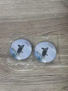 2025年最新】鴨川シーワールドマグネットの人気アイテム - メルカリ