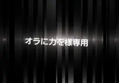 オラに力を様 リクエスト 2点 まとめ商品