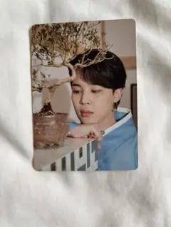 BTSスペシャルミニフォト ジミン ダルマジュン