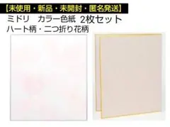 【新品・未使用・匿名発送】ミドリ カラー色紙2枚セット(OPP袋入り)のサムネイル