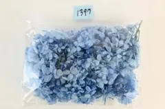 いちごみるく様専用　アウトレット花材5点