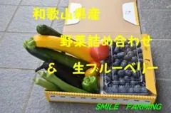和歌山県産 野菜詰め合わせ ＆ 生ブルーベリーのサムネイル