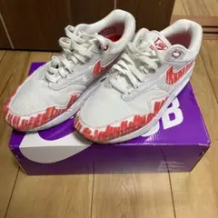 ナイキエアマックス1