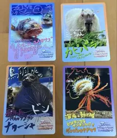 鳥羽水族館　コレクションカード　4枚セット
