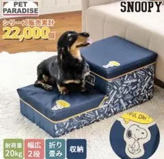 Item thumbnail for item bea6e7f4-2f49-470f-bc48-3cb55e0a5adf