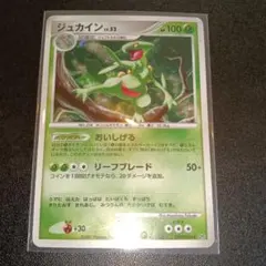 ジュカインex ☆ 強化拡張パックex1 マグマVSアクア ふたつの野望 00
