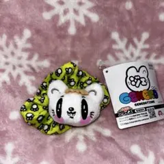 ジェ猫 ミュージシャン