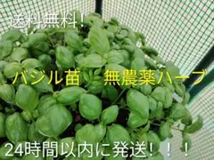 saya様 リクエスト 3点 まとめ商品