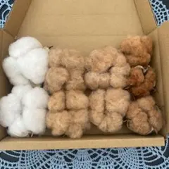 綿花 コットンフラワー ドライフラワー花材
