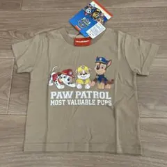 パウパトロール100 Tシャツ　ブラウン