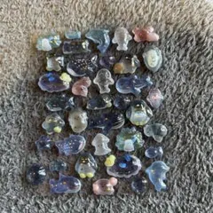 海の生き物ボンドロ