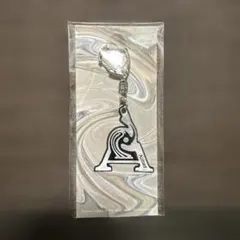 2025年最新】aimer ライブグッズの人気アイテム - メルカリ