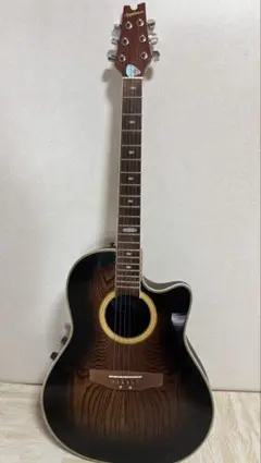 極上美品 エレアコを超えた！Zenn 12弦エレアコ 音出し抜群 スプールス