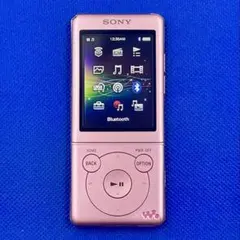 2026年最新】sony nw-s774の人気アイテム - メルカリ
