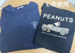 Item thumbnail for item 70d2b7a6-2e98-47ac-8cd2-c404879bcbc0