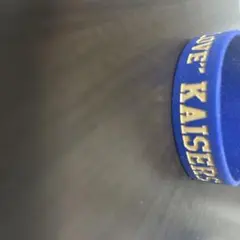 Item thumbnail for item ac8ef1da-1640-458b-ba4c-caecfe9145dc