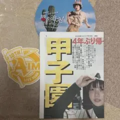 あいみょん 10th甲子園ライブ うちわ・新聞セット てんてんてん 7/14