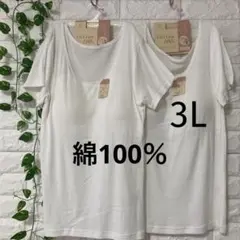 綿100％ カップ付き 半袖(フレンチ袖) 2枚組 3L 大きいサイズ ホワイト