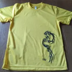 Item thumbnail for item d0041c42-ebed-4c4e-aede-00637101d86b