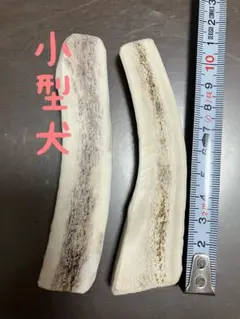 鹿の角　半割　80番のサムネイル