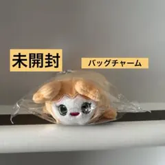 【新品未開封】TWICE バッグチャーム JIVELY (ジヒョ)