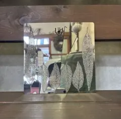 ステンレスフレーム　並木道