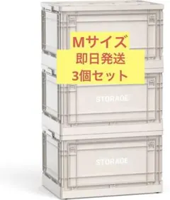 Item thumbnail for item 7c5c93ab-f253-49d3-9973-615bc6d3c23b