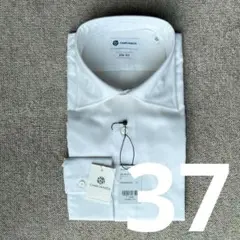 カミチャニスタ 37