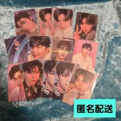 ZB1 ゼベワン　ゴヌク　トレカ　まとめ売り　セット　①